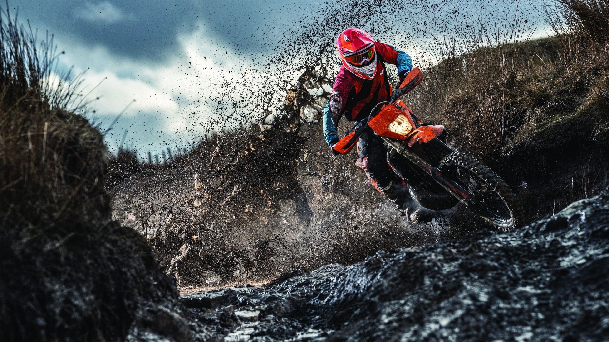 刘翔与泸州老窖天府中学的价值观公开课,明星代言争议背后的教育启示